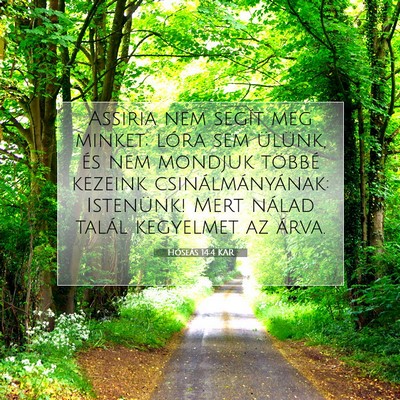 Picture 07 - Hóseás 14:4 KAR - Assiria nem segít meg minket; lóra sem ülünk, - Bible Verse Picture