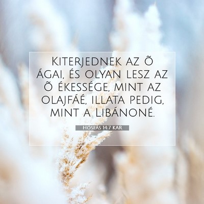 Picture 07 - Hóseás 14:7 KAR - Kiterjednek az õ ágai, és olyan lesz az õ - Bible Verse Picture