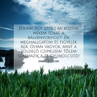 Picture 07 - Hóseás 14:9 KAR - Efraim [így szól:] Mi közöm nékem többé a - Bible Verse Picture