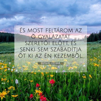 Picture 07 - Hóseás 2:9 KAR - És most feltárom az õ gyalázatát szeretõi - Bible Verse Picture