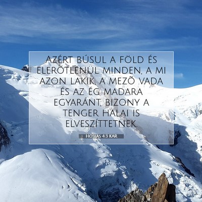 Picture 07 - Hóseás 4:3 KAR - Azért búsul a föld és elerõtlenül minden, a - Bible Verse Picture