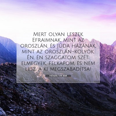 Picture 07 - Hóseás 5:14 KAR - Mert olyan leszek Efraimnak, mint az oroszlán, - Bible Verse Picture