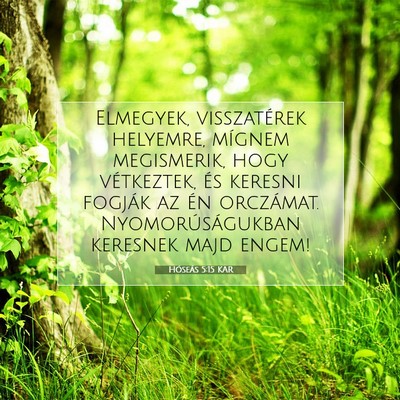 Picture 07 - Hóseás 5:15 KAR - Elmegyek, visszatérek helyemre, mígnem - Bible Verse Picture