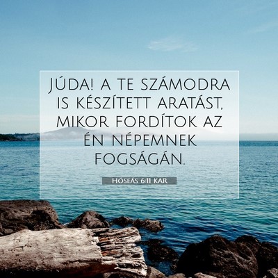 Picture 07 - Hóseás 6:11 KAR - Júda! a te számodra is készített aratást, - Bible Verse Picture