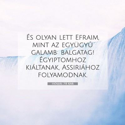 Picture 07 - Hóseás 7:11 KAR - És olyan lett Efraim, mint az együgyû galamb: - Bible Verse Picture