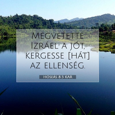 Picture 07 - Hóseás 8:3 KAR - Megvetette Izráel a jót, kergesse [hát] az - Bible Verse Picture