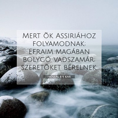 Picture 07 - Hóseás 8:9 KAR - Mert õk Assiriához folyamodnak; Efraim magában - Bible Verse Picture