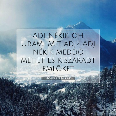 Picture 07 - Hóseás 9:14 KAR - Adj nékik oh Uram! Mit adj? Adj nékik meddõ - Bible Verse Picture