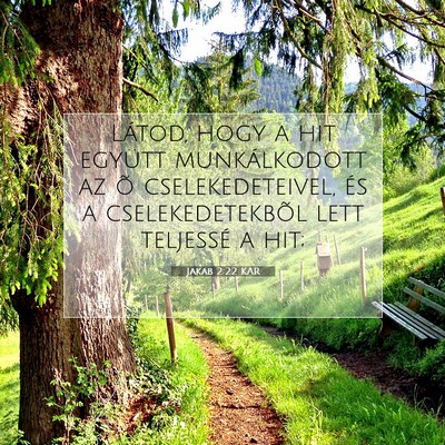 Picture 07 - Jakab 2:22 KAR - Látod, hogy a hit együtt munkálkodott az õ - Bible Verse Picture