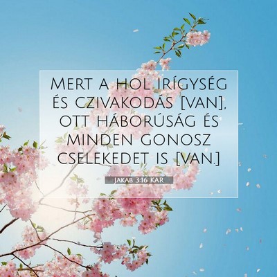 Picture 07 - Jakab 3:16 KAR - Mert a hol irígység és czivakodás [van], ott - Bible Verse Picture