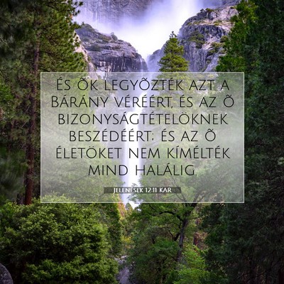 Picture 07 - Jelenések 12:11 KAR - És õk legyõzték azt a Bárány véréért, - Bible Verse Picture