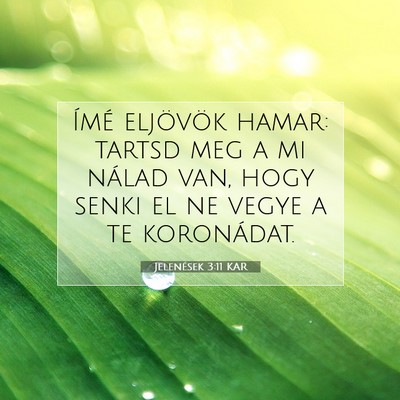 Picture 07 - Jelenések 3:11 KAR - Ímé eljövök hamar: tartsd meg a mi nálad - Bible Verse Picture