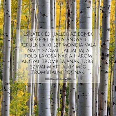 Picture 07 - Jelenések 8:13 KAR - És láték és hallék az égnek közepette egy - Bible Verse Picture