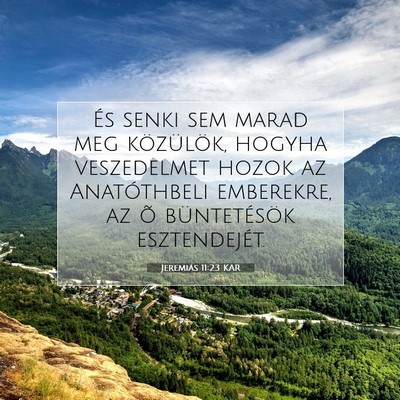 Picture 07 - Jeremiás 11:23 KAR - És senki sem marad meg közülök, hogyha - Bible Verse Picture