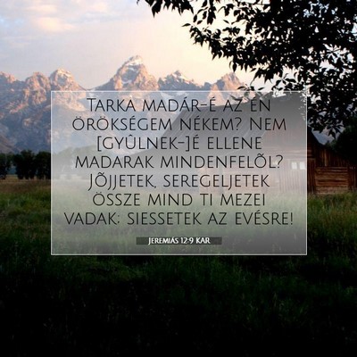 Picture 07 - Jeremiás 12:9 KAR - Tarka madár-é az én örökségem nékem? Nem - Bible Verse Picture