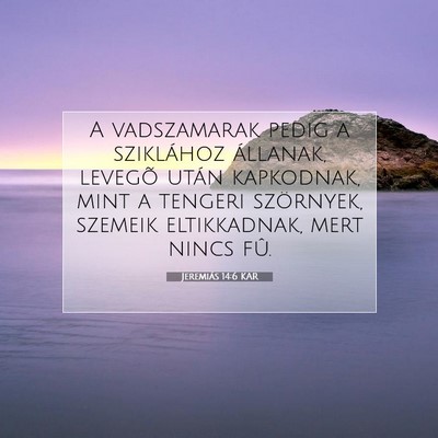 Picture 07 - Jeremiás 14:6 KAR - A vadszamarak pedig a sziklához állanak, - Bible Verse Picture