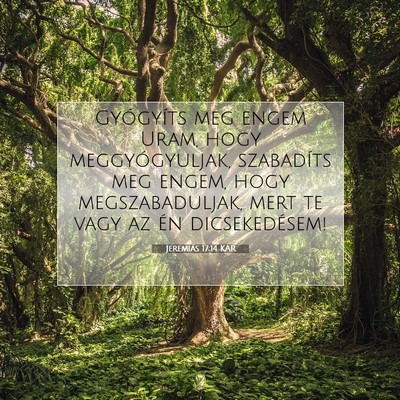 Picture 07 - Jeremiás 17:14 KAR - Gyógyíts meg engem Uram, hogy meggyógyuljak, - Bible Verse Picture
