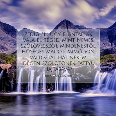 Picture 07 - Jeremiás 2:21 KAR - Pedig én úgy plántállak vala el téged, mint - Bible Verse Picture