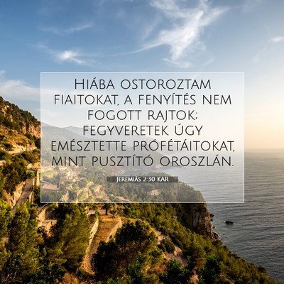 Picture 07 - Jeremiás 2:30 KAR - Hiába ostoroztam fiaitokat, a fenyítés nem - Bible Verse Picture