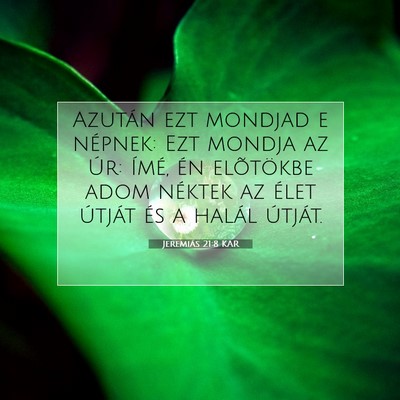 Picture 07 - Jeremiás 21:8 KAR - Azután ezt mondjad e népnek: Ezt mondja az Úr: - Bible Verse Picture