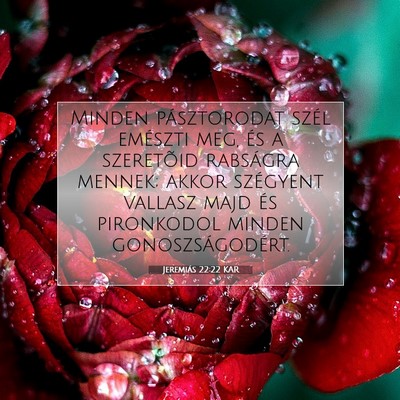 Picture 07 - Jeremiás 22:22 KAR - Minden pásztorodat szél emészti meg, és a - Bible Verse Picture