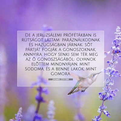 Picture 07 - Jeremiás 23:14 KAR - De a jeruzsálemi prófétákban is rútságot - Bible Verse Picture