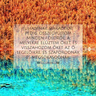 Picture 07 - Jeremiás 23:3 KAR - Juhaimnak maradékát pedig összegyûjtöm - Bible Verse Picture