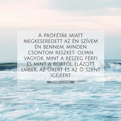 Picture 07 - Jeremiás 23:9 KAR - A próféták miatt megkeseredett az én szívem - Bible Verse Picture