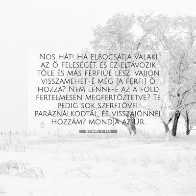 Picture 07 - Jeremiás 3:1 KAR - Nos hát! Ha elbocsátja valaki az õ - Bible Verse Picture