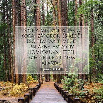 Picture 07 - Jeremiás 3:3 KAR - Noha megvonattak a korai záporok, és késõi - Bible Verse Picture