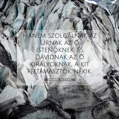 Picture 07 - Jeremiás 30:9 KAR - Hanem szolgálnak az Úrnak az õ Istenöknek, - Bible Verse Picture