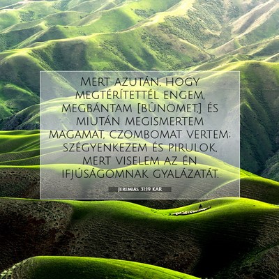 Picture 07 - Jeremiás 31:19 KAR - Mert azután, hogy megtérítettél engem, - Bible Verse Picture