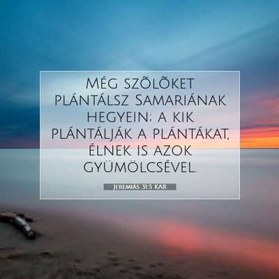 Picture 07 - Jeremiás 31:5 KAR - Még szõlõket plántálsz Samariának hegyein; - Bible Verse Picture