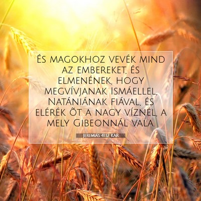 Picture 07 - Jeremiás 41:12 KAR - És magokhoz vevék mind az embereket, és - Bible Verse Picture