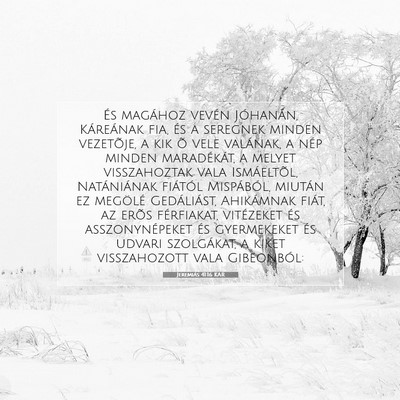 Picture 07 - Jeremiás 41:16 KAR - És magához vevén Jóhanán, Káreának fia, - Bible Verse Picture