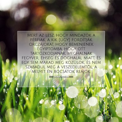 Picture 07 - Jeremiás 42:17 KAR - Mert az lesz, hogy mindazok a férfiak, a kik - Bible Verse Picture