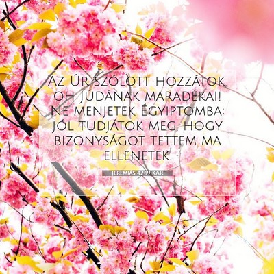 Picture 07 - Jeremiás 42:19 KAR - Az Úr szólott hozzátok, oh Júdának - Bible Verse Picture