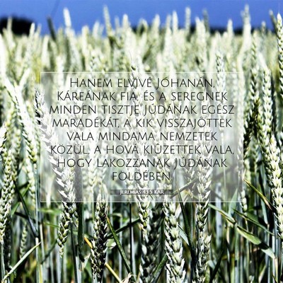 Picture 07 - Jeremiás 43:5 KAR - Hanem elvivé Jóhanán, Káreának fia, és a - Bible Verse Picture