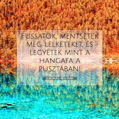 Picture 07 - Jeremiás 48:6 KAR - Fussatok, mentsétek meg lelketeket, és legyetek - Bible Verse Picture