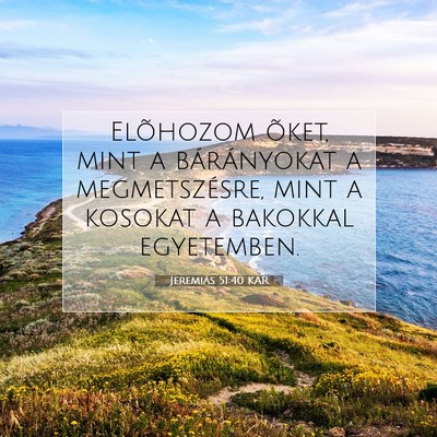 Picture 07 - Jeremiás 51:40 KAR - Elõhozom õket, mint a bárányokat a - Bible Verse Picture