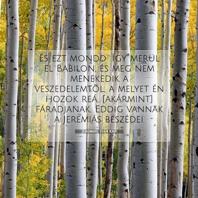 Picture 07 - Jeremiás 51:64 KAR - És ezt mondd: Így merül el Babilon, és meg - Bible Verse Picture