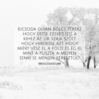 Picture 07 - Jeremiás 9:12 KAR - Kicsoda olyan bölcs férfiú, hogy értse - Bible Verse Picture