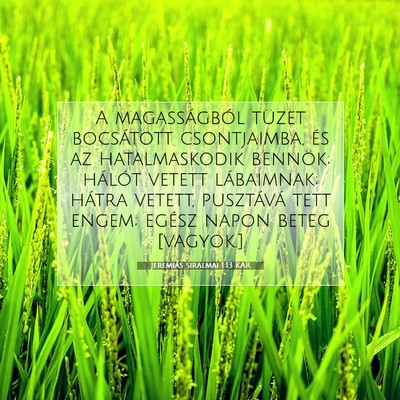 Picture 07 - Jeremiás siralmai 1:13 KAR - A magasságból tüzet bocsátott csontjaimba, - Bible Verse Picture
