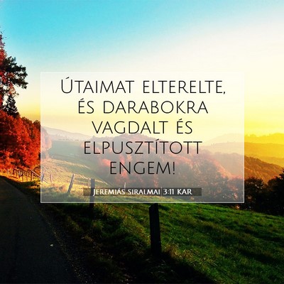 Picture 07 - Jeremiás siralmai 3:11 KAR - Útaimat elterelte, és darabokra vagdalt és - Bible Verse Picture