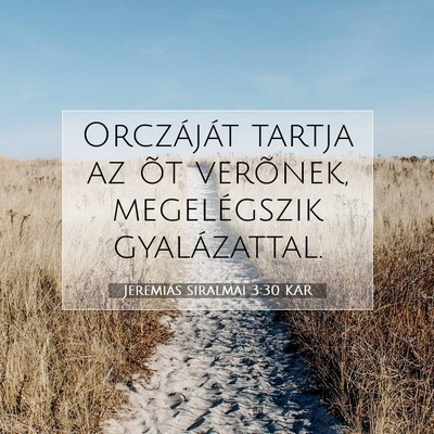Picture 07 - Jeremiás siralmai 3:30 KAR - Orczáját tartja az õt verõnek, megelégszik - Bible Verse Picture