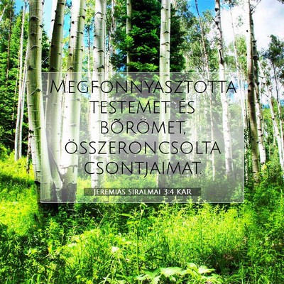 Picture 07 - Jeremiás siralmai 3:4 KAR - Megfonnyasztotta testemet és bõrömet, - Bible Verse Picture