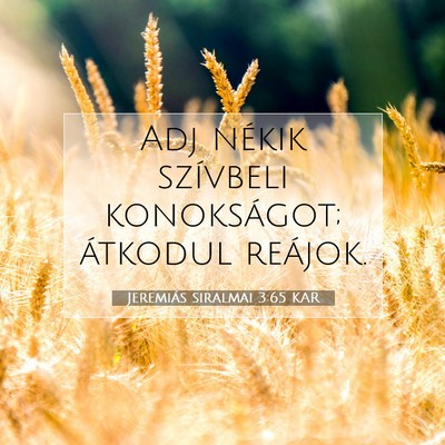 Picture 07 - Jeremiás siralmai 3:65 KAR - Adj nékik szívbeli konokságot; átkodul - Bible Verse Picture