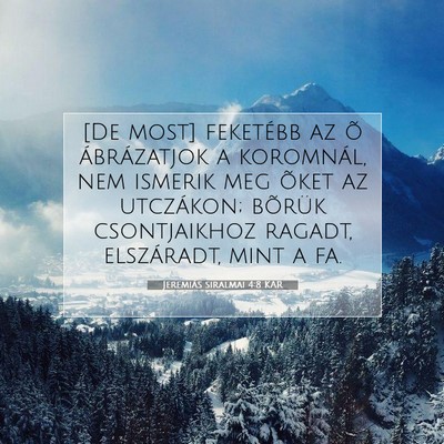 Picture 07 - Jeremiás siralmai 4:8 KAR - [De most] feketébb az õ ábrázatjok a - Bible Verse Picture
