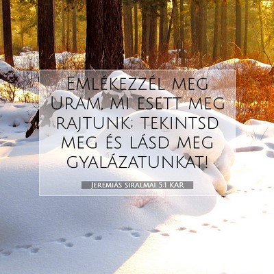 Picture 07 - Jeremiás siralmai 5:1 KAR - Emlékezzél meg Uram, mi esett meg rajtunk; - Bible Verse Picture