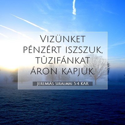 Picture 07 - Jeremiás siralmai 5:4 KAR - Vizünket pénzért iszszuk, tûzifánkat áron - Bible Verse Picture
